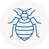 Bed Bug Extermination In Harpenden