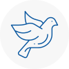 Bird Prevention Harpenden