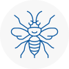 Harpenden Hornet Nest Removals