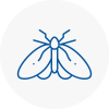 Moth Control Specialists In Harpenden