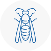Harpenden Wasp Nest Removal